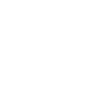 Fast_Shipping_Icon_cf0c3a1e-23eb-47f3-abc2-b72fc889b51d